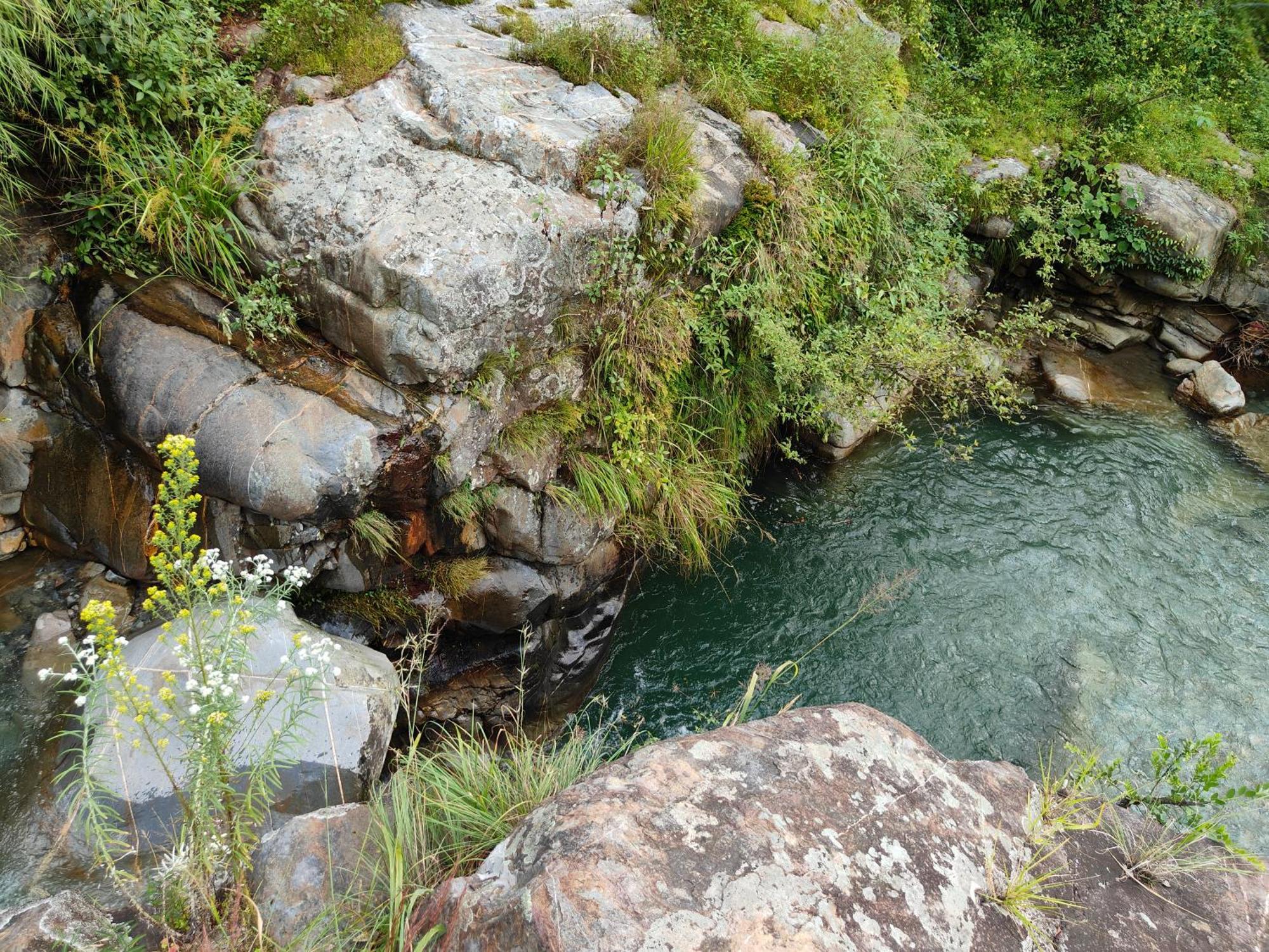 Himwanderer Camps & Cottages Pangot Nainital Luaran gambar