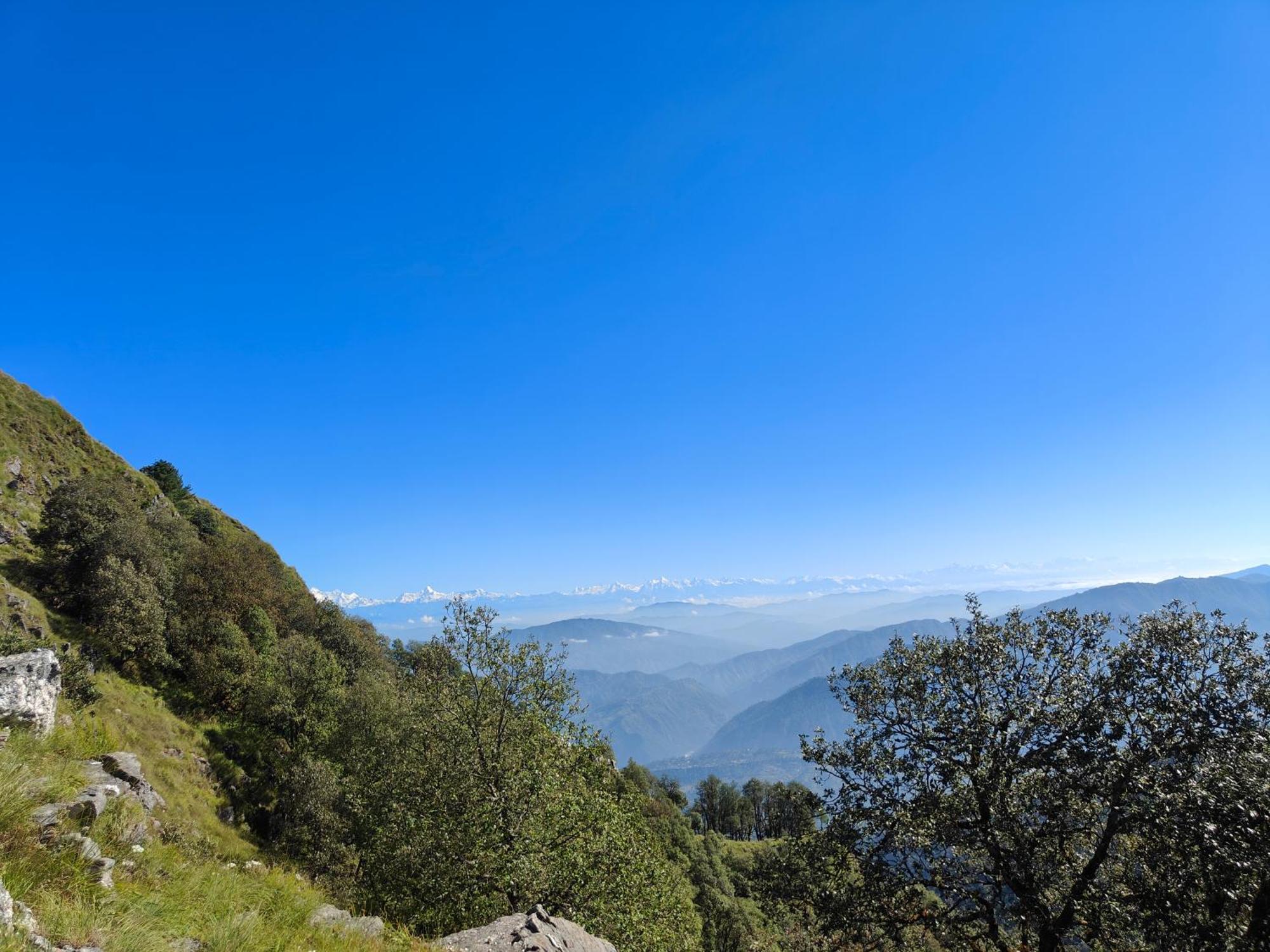 Himwanderer Camps & Cottages Pangot Nainital Luaran gambar