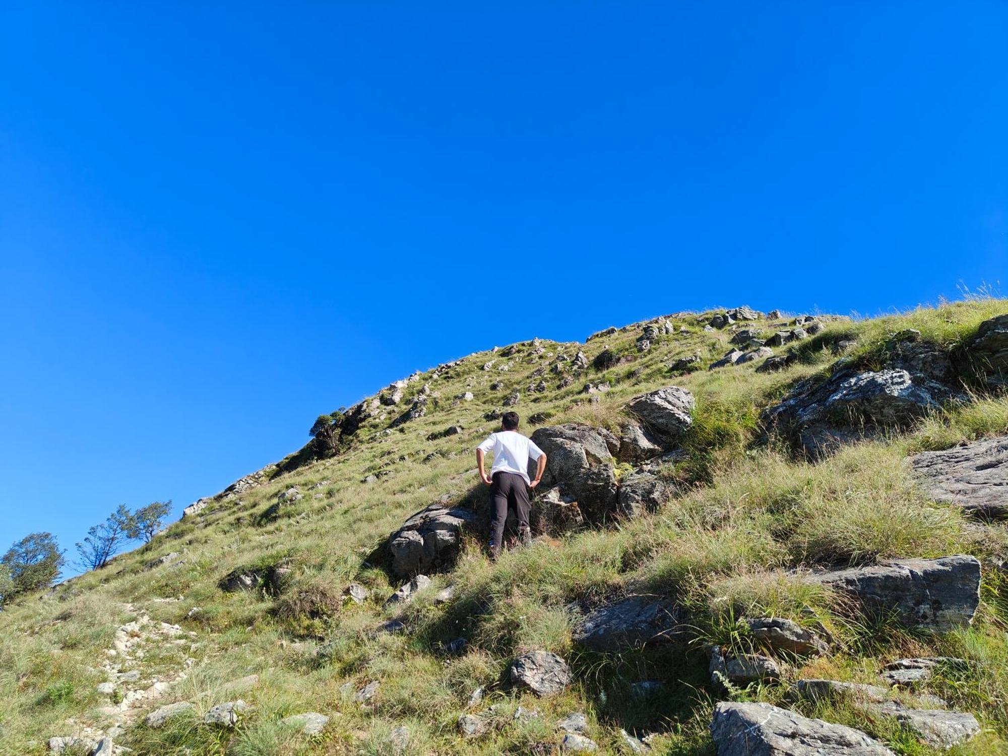 Himwanderer Camps & Cottages Pangot Nainital Luaran gambar