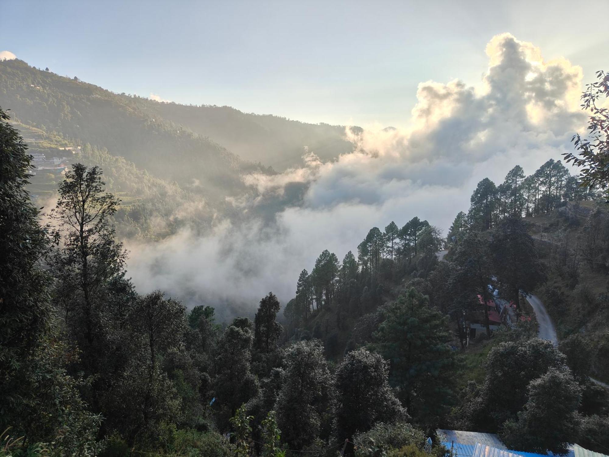 Himwanderer Camps & Cottages Pangot Nainital Luaran gambar