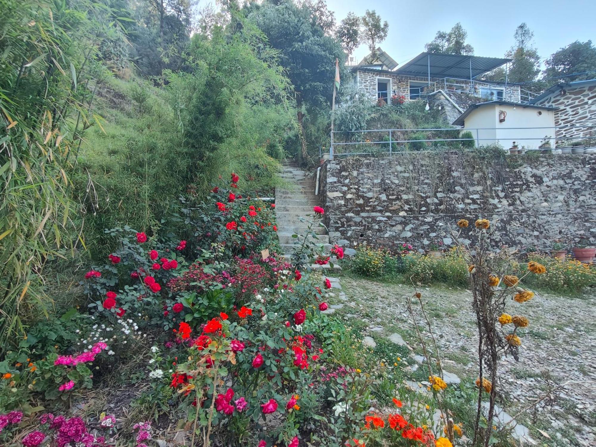 Himwanderer Camps & Cottages Pangot Nainital Luaran gambar